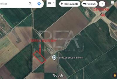 Teren Construcții extravilan de 9345 mp, în Clinceni - 2