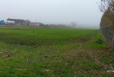 Teren Construcții de 10000 mp, în Lumina - 2