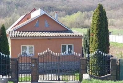 Casă cu 2 camere în Luncani - 7