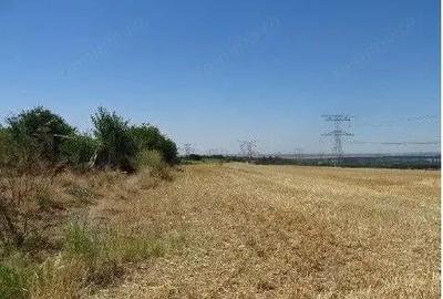 Teren extravilan Cernavoda, ID: R2755634 Teren extravilan Cernavoda, ID: R2755634 - 4