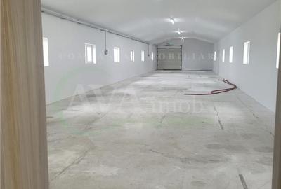Spațiu comercial, de 370 mp, în Nicolae Bălcescu - 15