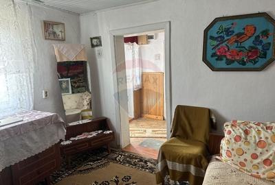 Casă cu 3 camere cu Teren 2609 Mp în Bârgăuani - 6