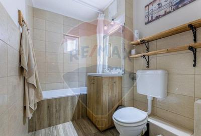 Apartament cu 2 camere de inchiriat in zona Confectii - 13