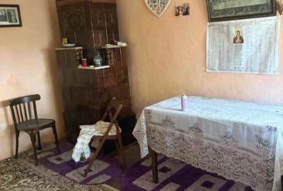 Casă cu 5 camere cu Teren 3000 Mp în Exterior Vest - 1
