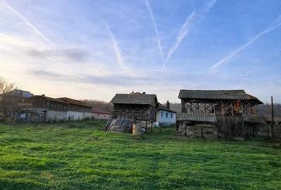 Teren 4.443 mp intravilan + extravilan | Nicolae Balcescu Ple?oiu, jud Valcea - 12