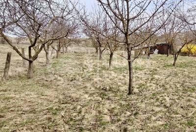 Teren Construcții intravilan de 1122 mp, în Borhanci - 3