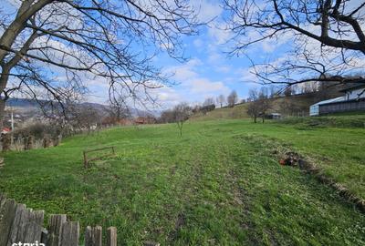 Spațiu comercial, în Coman - 13