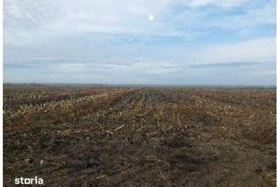 Teren de 5000 mp, în Lunca - 9