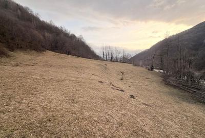 Spațiu comercial, în Baru - 7