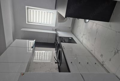 Apartament cu 2 camere decomandat în Roșu