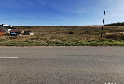 Teren de 5000 mp, în Ciurea - 5