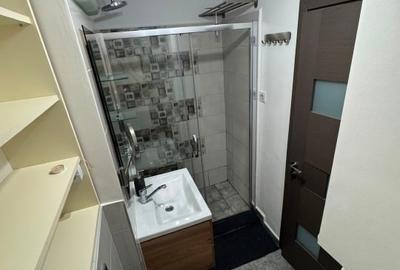 Garsonieră decomandată, mobilată în Dristor - 8