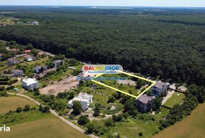 Spațiu comercial, în Ciofliceni - 3