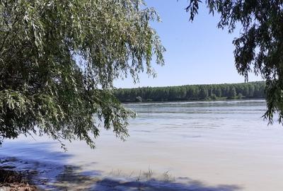 Teren Construcții extravilan de 5000 mp, în Mahmudia - 2