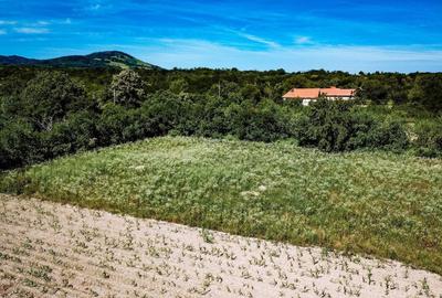 Teren de 2900 mp, în Fârliug - 4