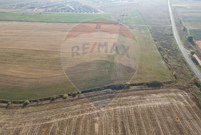 Teren agricol intravilan de 39016 mp, în Exterior Nord - 16