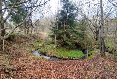 Spațiu comercial, în Viștișoara - 3