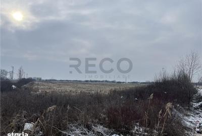Teren de 26000 mp, în Cefa - 1