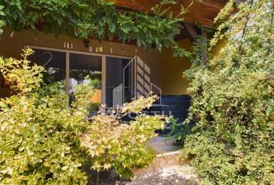 Casa insiruita cu 3 camere, langa padure, Dumbravita - 18