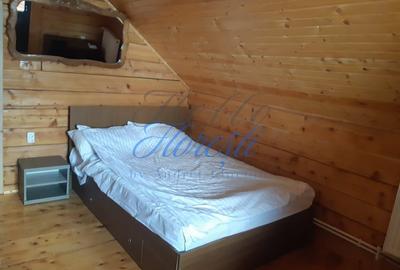 Cabana cu 3 dormitoare , Rasca - 5