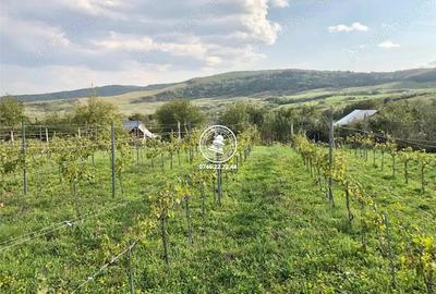 Teren de 6800 mp, în Mogoșești - 2