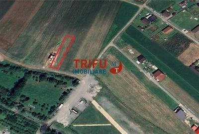 Teren de vânzare în Ighiu 1000 mp cu utilități Teren de vânzare în Ighiu 1000 mp cu utilități - 4