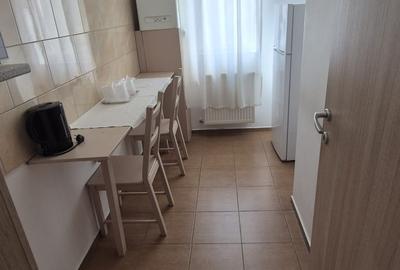 Apartament 2 camere decomandat, Drumul Fermei, mobilat - 5