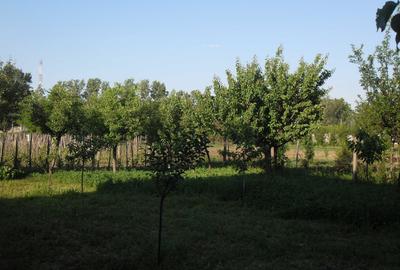 Casă cu 4 camere în Șimian - 2