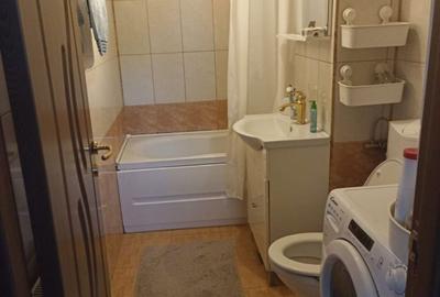 Apartament cu 2 camere semidecomandat în Snagov - 3