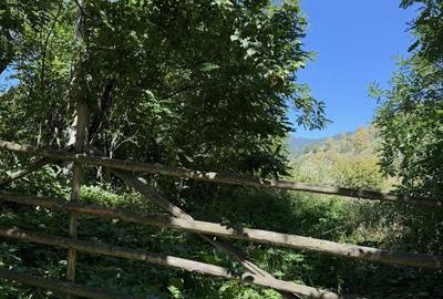 Spațiu comercial, în Tulgheș - 1