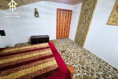 Casă cu Teren 6000 Mp în Sălbăgelu Nou - 1