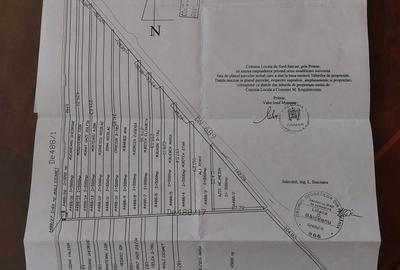 Teren de 45000 mp, în Mihail Kogălniceanu - 1