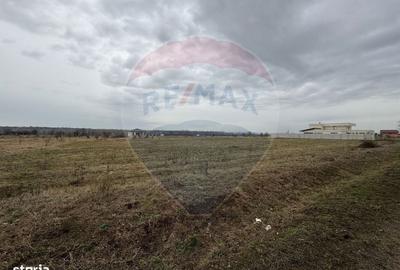 Spațiu comercial, în Fântânele - 3