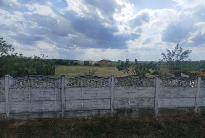 Spațiu comercial, în Leș - 4