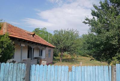 Casă cu 3 camere cu Teren 790 Mp în Stăncești - 7