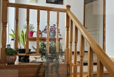 Casa deosebita, 128 mp, 569 mp teren, in Santionlunca - 16