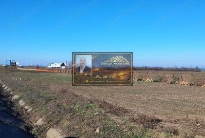 Teren de 5000 mp, în Tecuci - 4