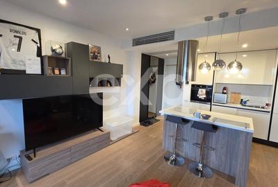 Apartament cu 2 camere semidecomandat, mobilat în Herăstrău - 9