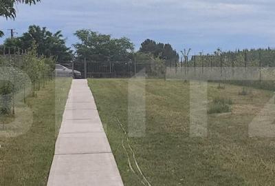 Casa individuala, 120 mp, 1900 mp teren, Udesti - 16