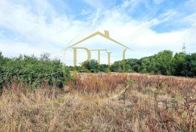 Teren de 18803 mp, în Plopi