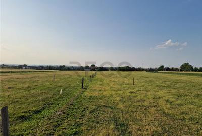 Teren de 500 mp, în Felcheriu - 4