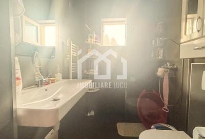 Casa Individuala 4 camere 120 mp, Teren 745mp, KM 17, Jucu de Mijloc - 4