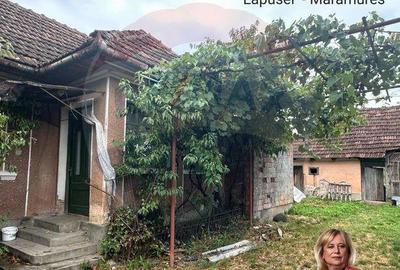 30 arii TEREN INTRAVILAN cu o GOSPODARIE veche - 12