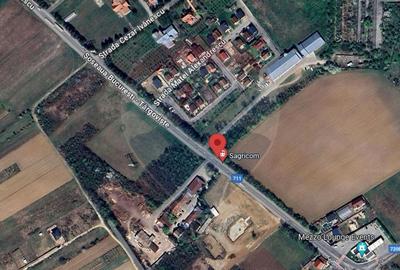 Teren Construcții intravilan de 6450 mp, în Exterior Vest - 8