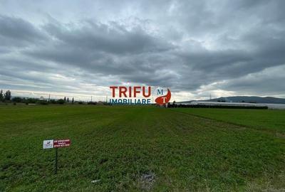 Teren extravilan de vânzare în Bărăbanț - 2