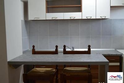 Garsonieră decomandată în Dâmbu Pietros - 6