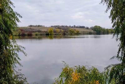 Izvoarele, sat Chiriacu, jud. Giurgiu casa + teren - 4