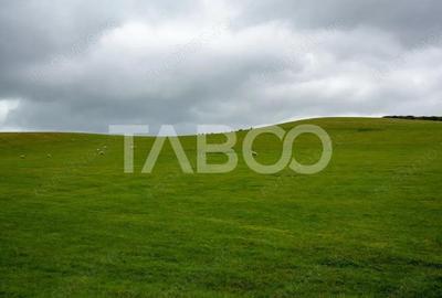 Teren de 5987 mp, în Central