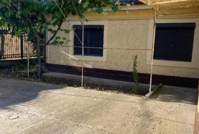 Casă cu 3 camere cu Teren 1000 Mp în Chiscani - 9