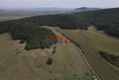 Teren cu priveliște și pădure pentru cabane de vânzare î Teren cu priveliște și pădure pentru cabane de vânzare î - 1